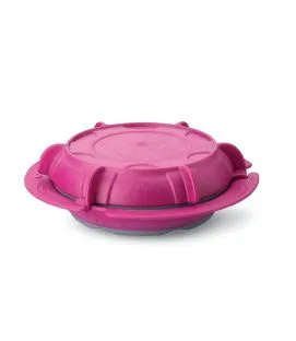 Assiette creuse rond cassis copolyester Ø 23 cm Thermodynamique Saint Romain