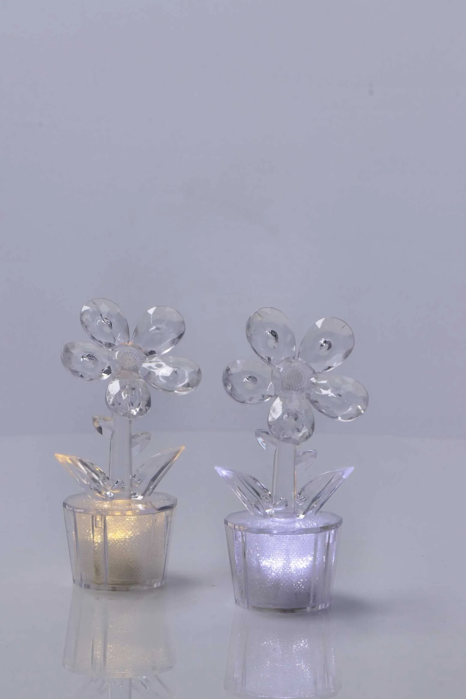 Italian Gift Mini Table Flower Lamp Ass. D 6 Cm H 12 Cm Transparent 1