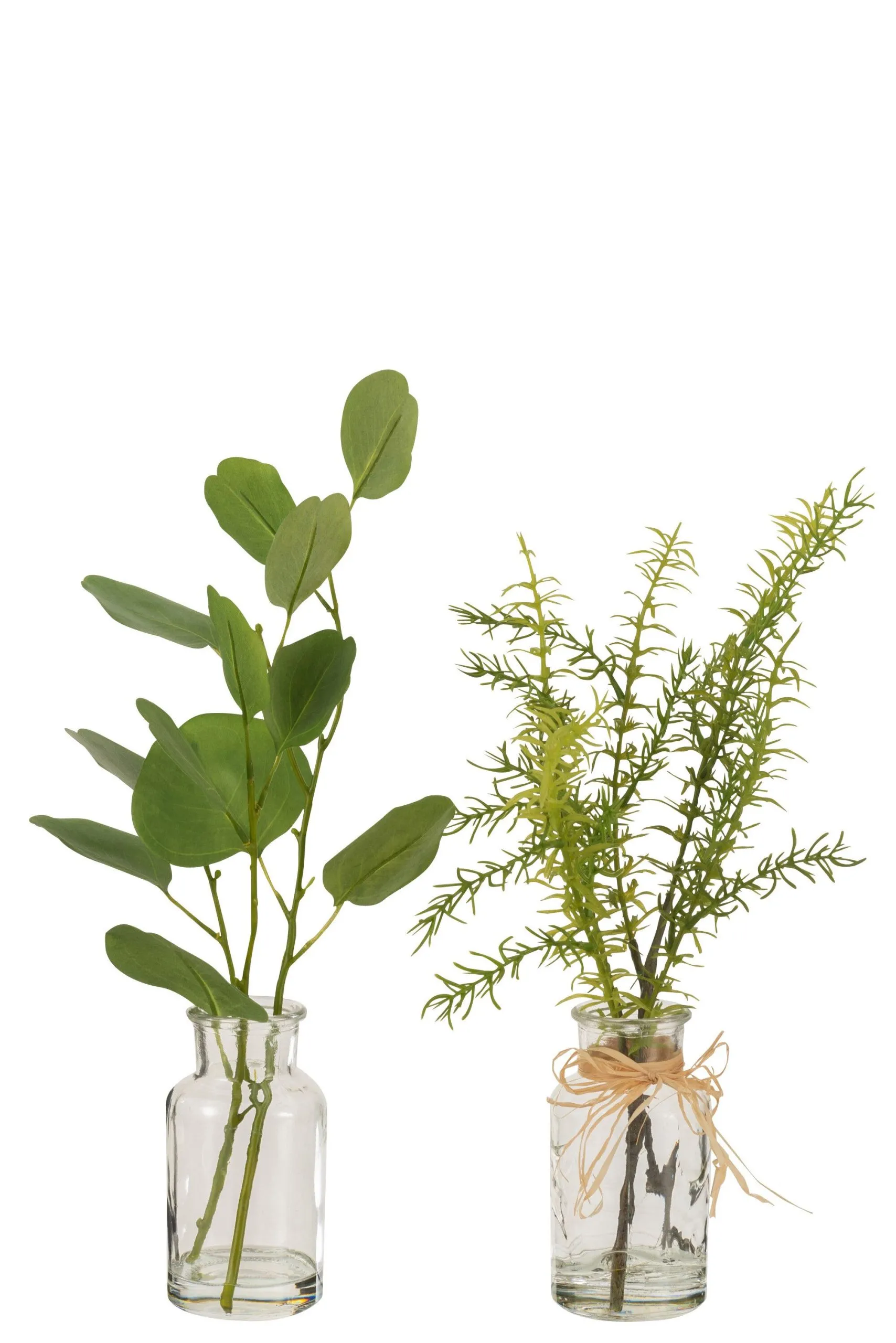 Eucalyptus/branches dans vase verre transparent/plastique vert assortiment de 2