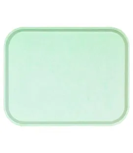 Plateau GN1/2 polyester vert 32x26 cm Poly One Platex