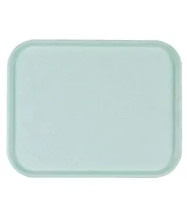 Plateau polyester bleu 46x36 cm Poly One Platex