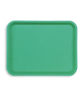 Plateau polyester vert 35x27 cm Fast Food Platex