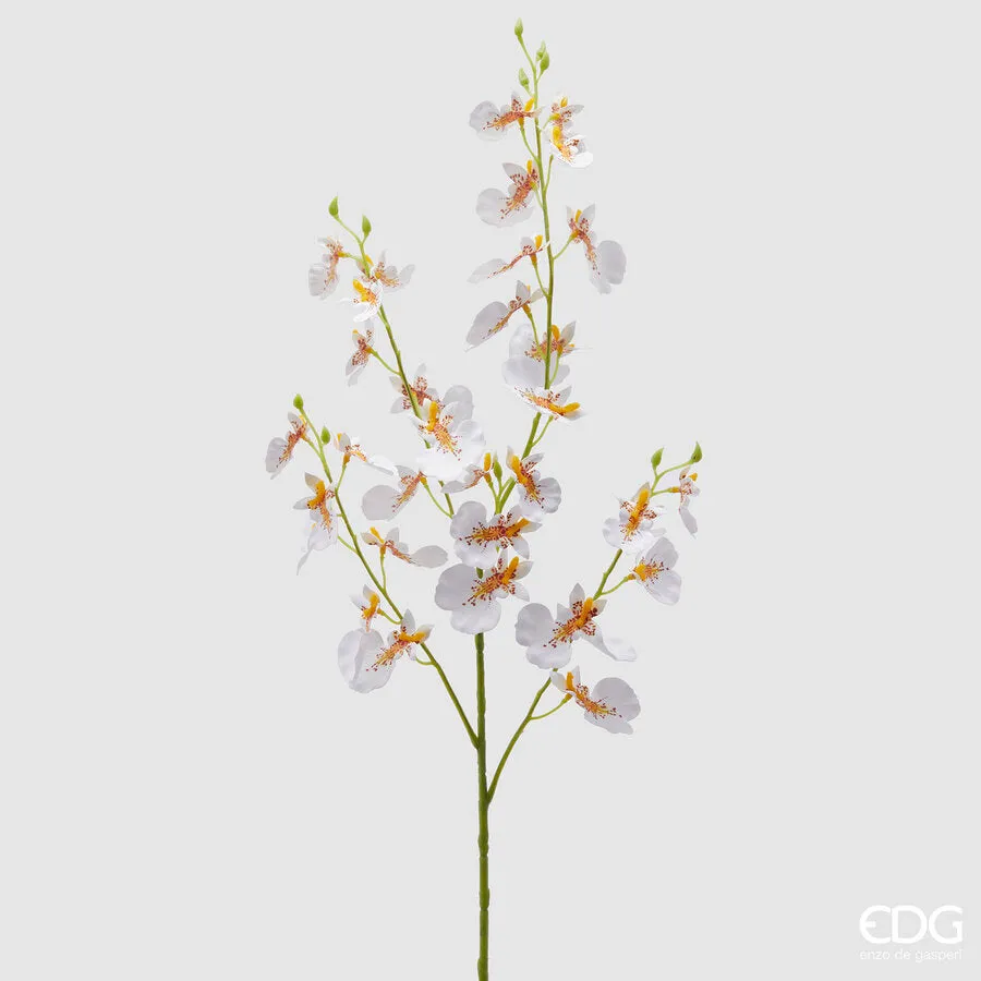 EDG Enzo De Gasperi Orchid Oncidium Branch x4 Artificial H 80 Cm White