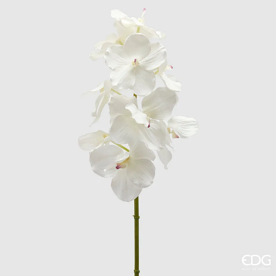 EDG Enzo De Gasperi Vanda Orchid Branch x9 Artificial H 95 Cm White