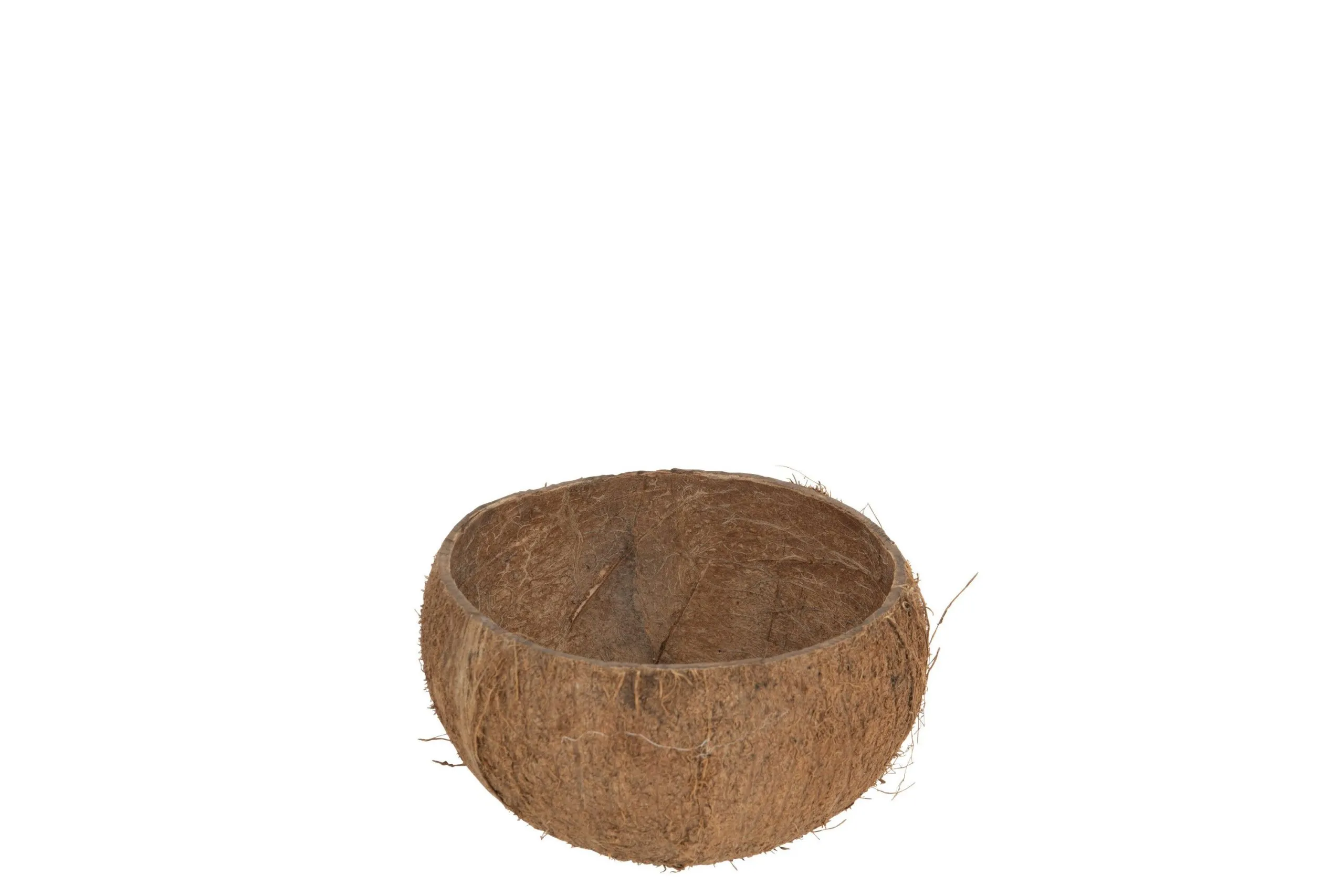 Demi noix de coco brute