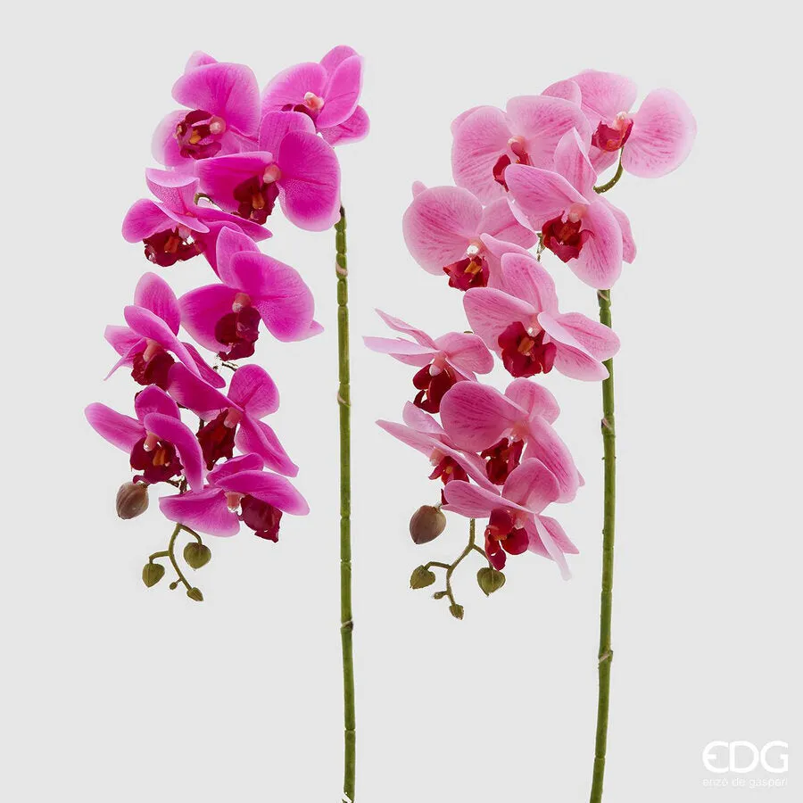 EDG Enzo De Gasperi Orchid Phalaenopsis Real Artificial Branch Assorte