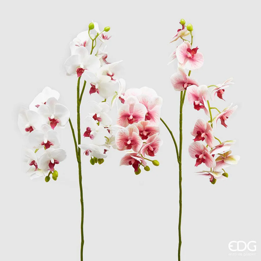 EDG Enzo De Gasperi Orchid Phalaenopsis Chic Branch x4 Artificial Ass.
