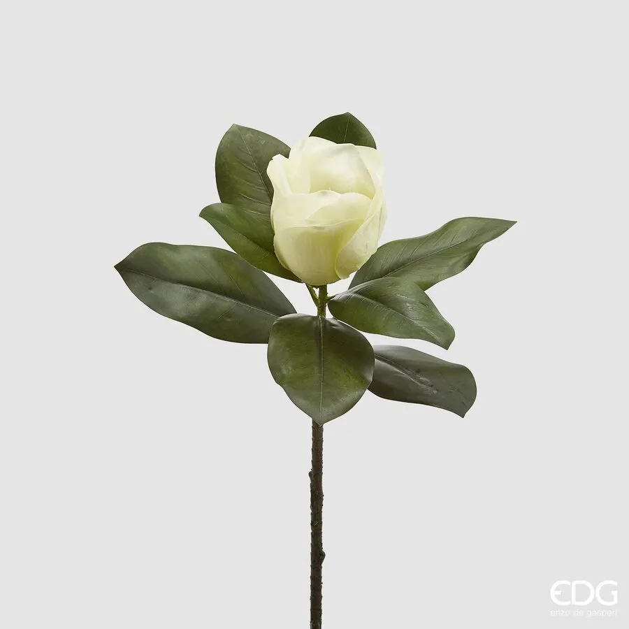 EDG Enzo De Gasperi Magnolia Branch Real Flower and Artificial Leaves