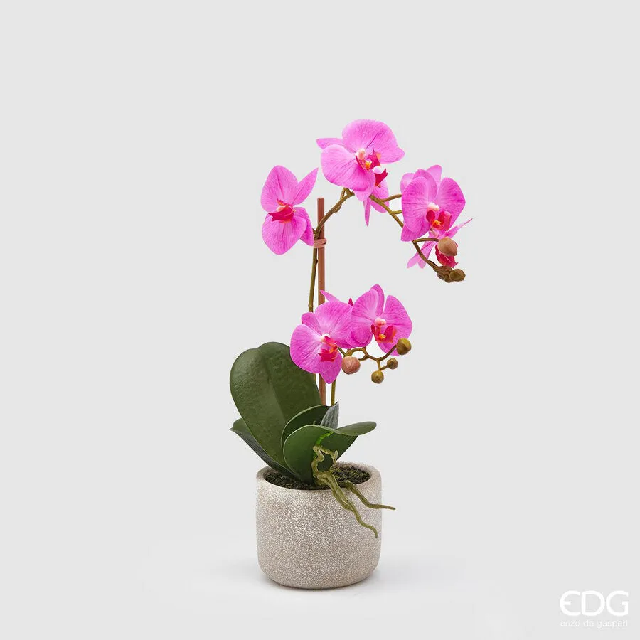 EDG Enzo De Gasperi Phalaenopsis Orchid Plant x2 Artificial with Vase