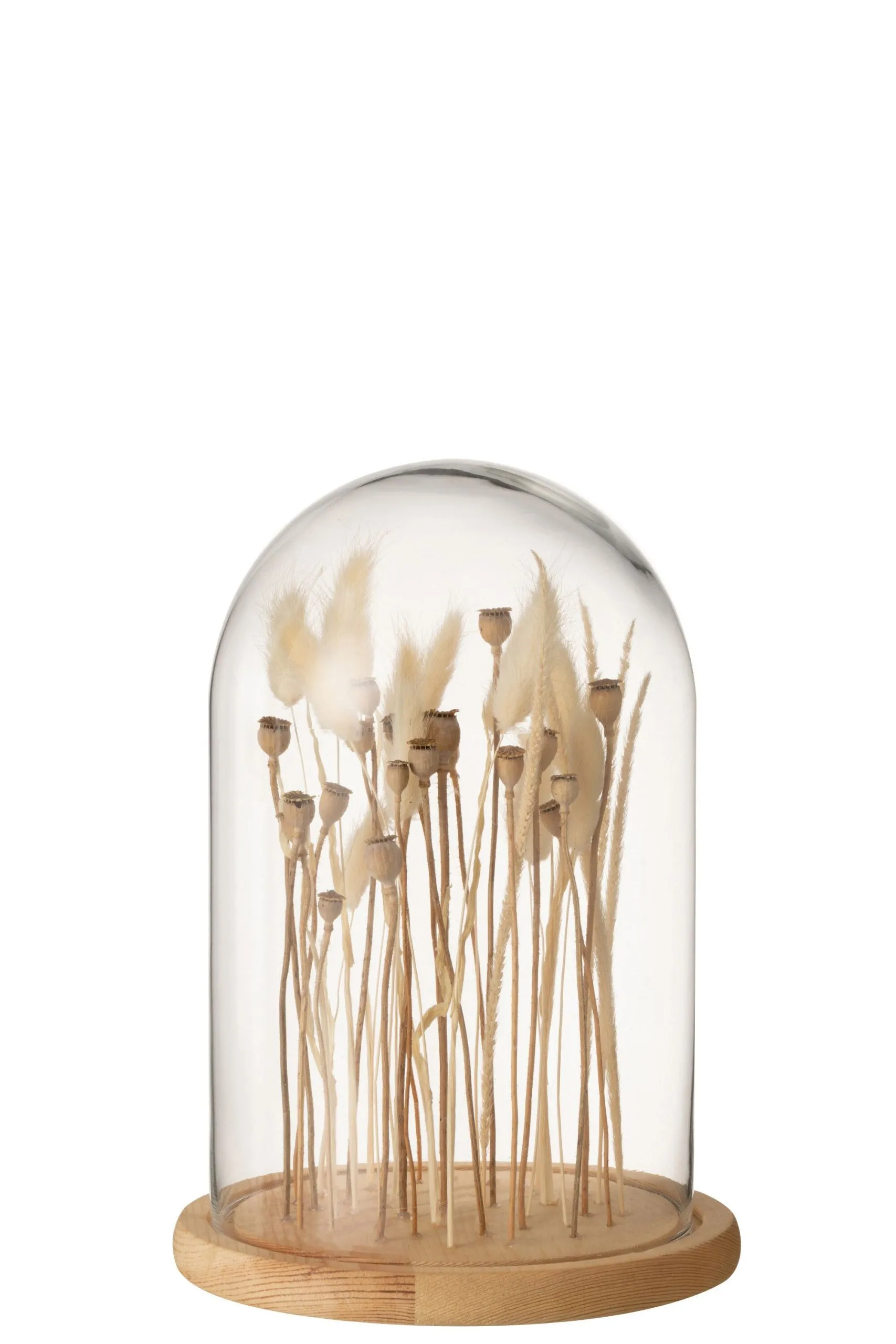 Cloche en verre sur fleurs sechées ecru/brun verre bois small