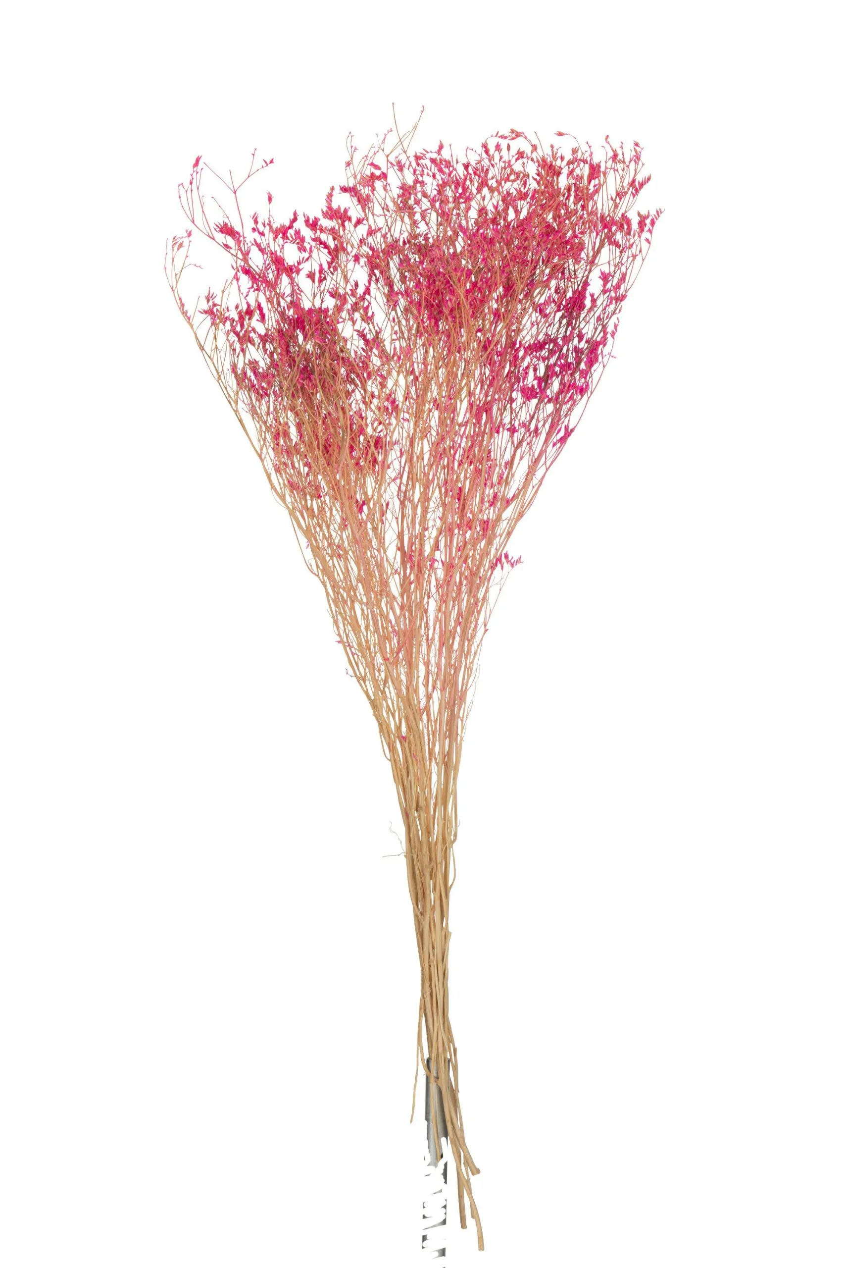 Bouquet gypsophile seche fuchsia