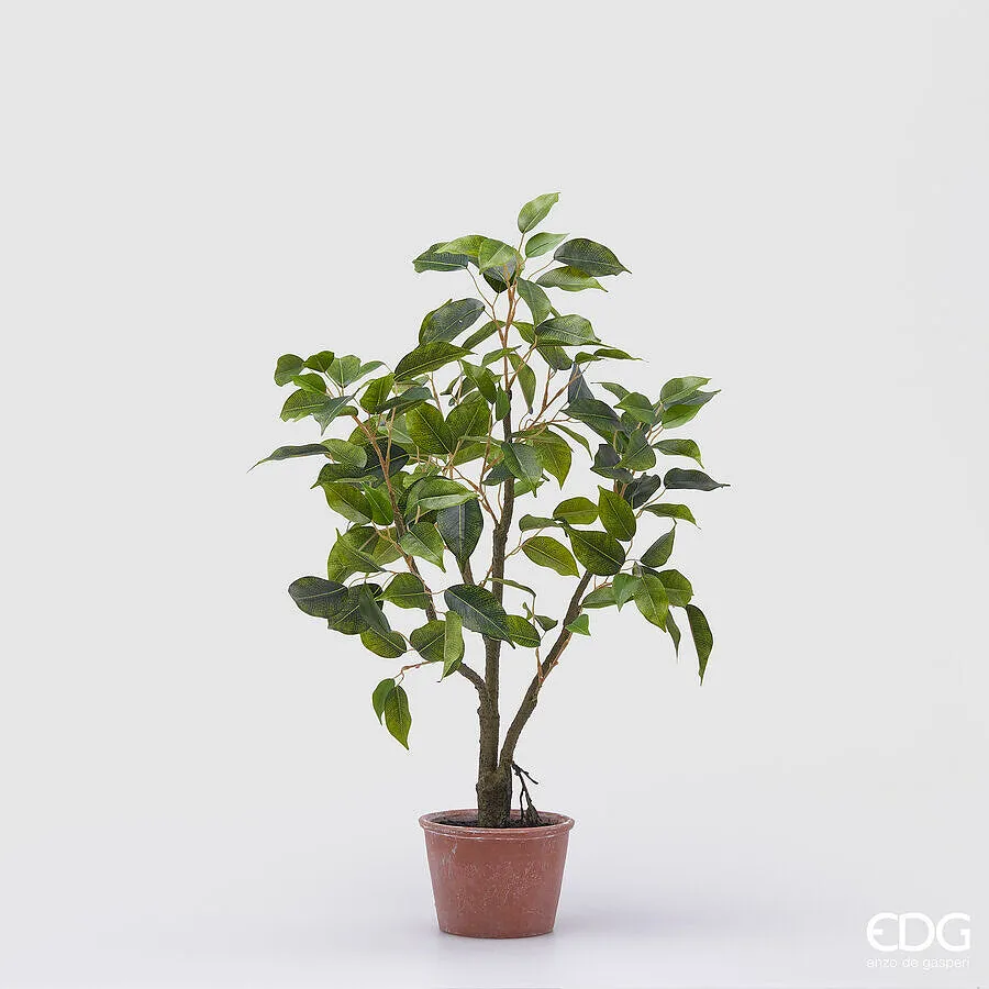 EDG Enzo De Gasperi Ficus with Artificial Pot H 60 Cm Green