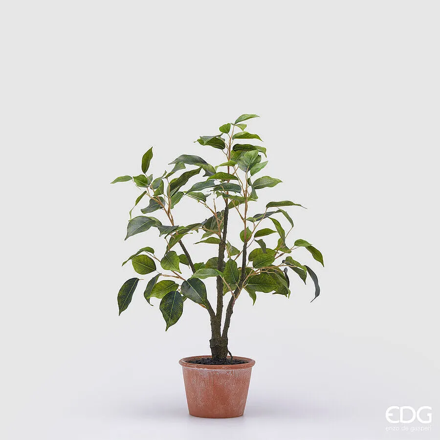 EDG Enzo De Gasperi Ficus with Artificial Pot H 51 Cm Green