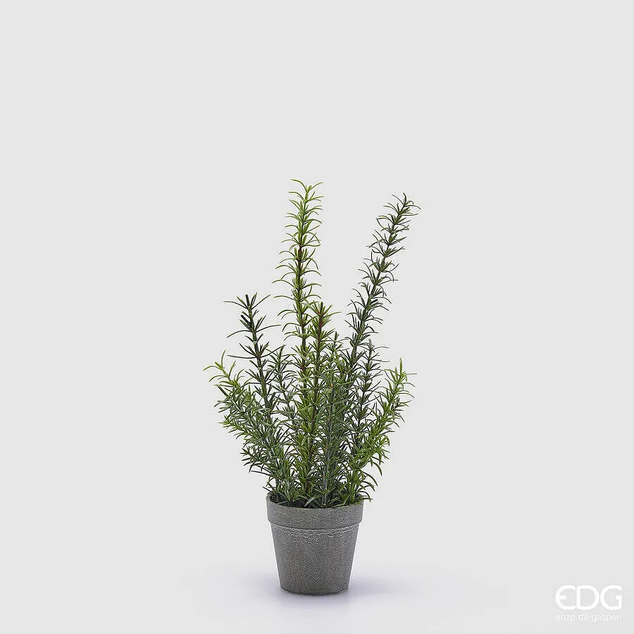 EDG Enzo De Gasperi Rosemary with Artificial Vase H 38 Cm Green