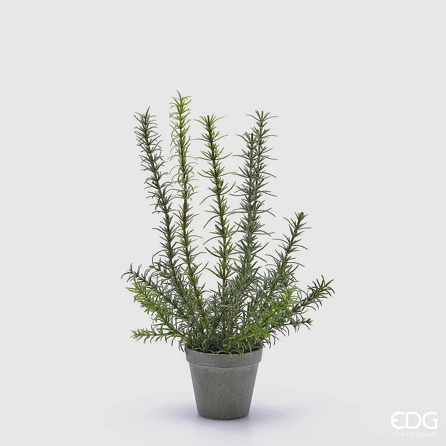 EDG Enzo De Gasperi Rosemary with Artificial Vase H 46 Cm Green