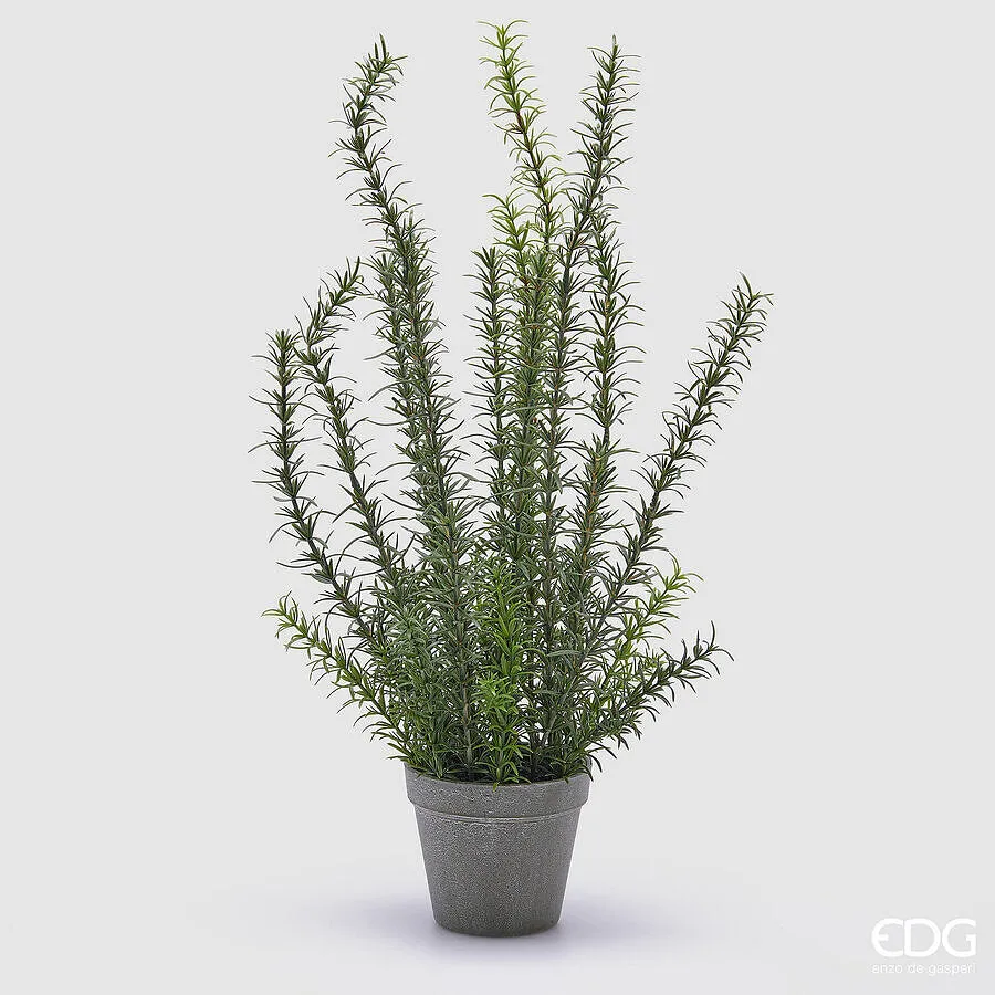 EDG Enzo De Gasperi Rosemary with Artificial Vase H 58 Cm Green