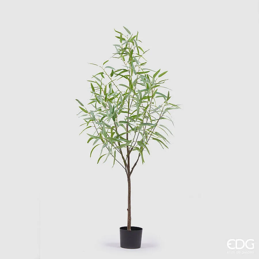 EDG Enzo De Gasperi Eucalyptus with Artificial Vase H 170 Cm Light Gre