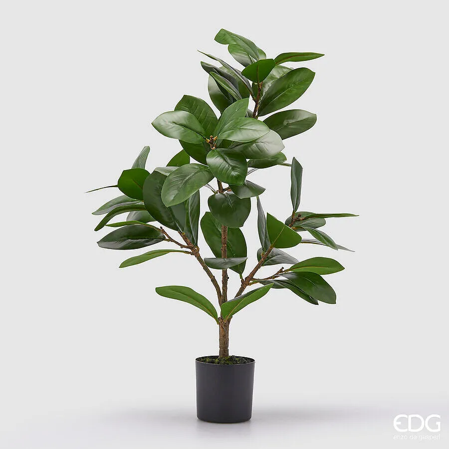 EDG Enzo De Gasperi Ficus with Artificial Vase H 64 Cm Green