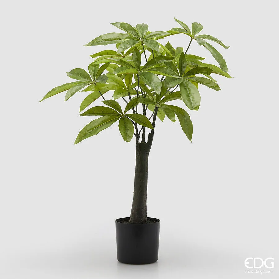 EDG Enzo De Gasperi Pachira with Artificial Vase H 60 Cm Green