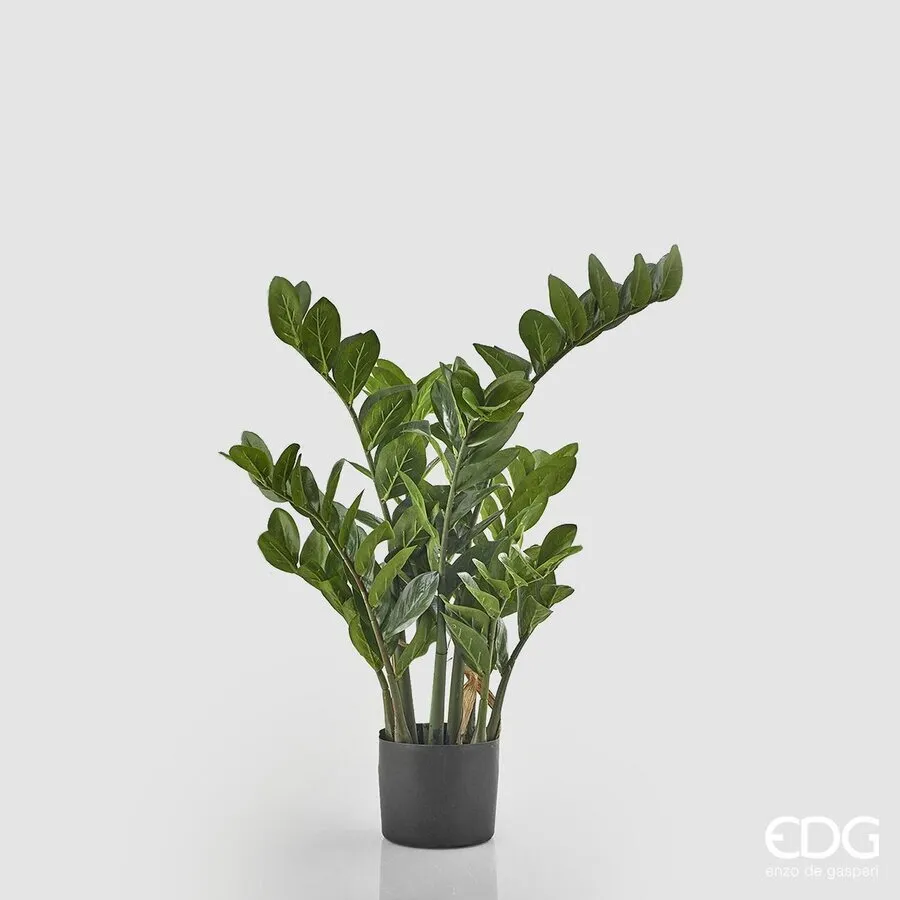 EDG Enzo De Gasperi Zamifolia 9 Branches with Artificial Vase H 90 Cm