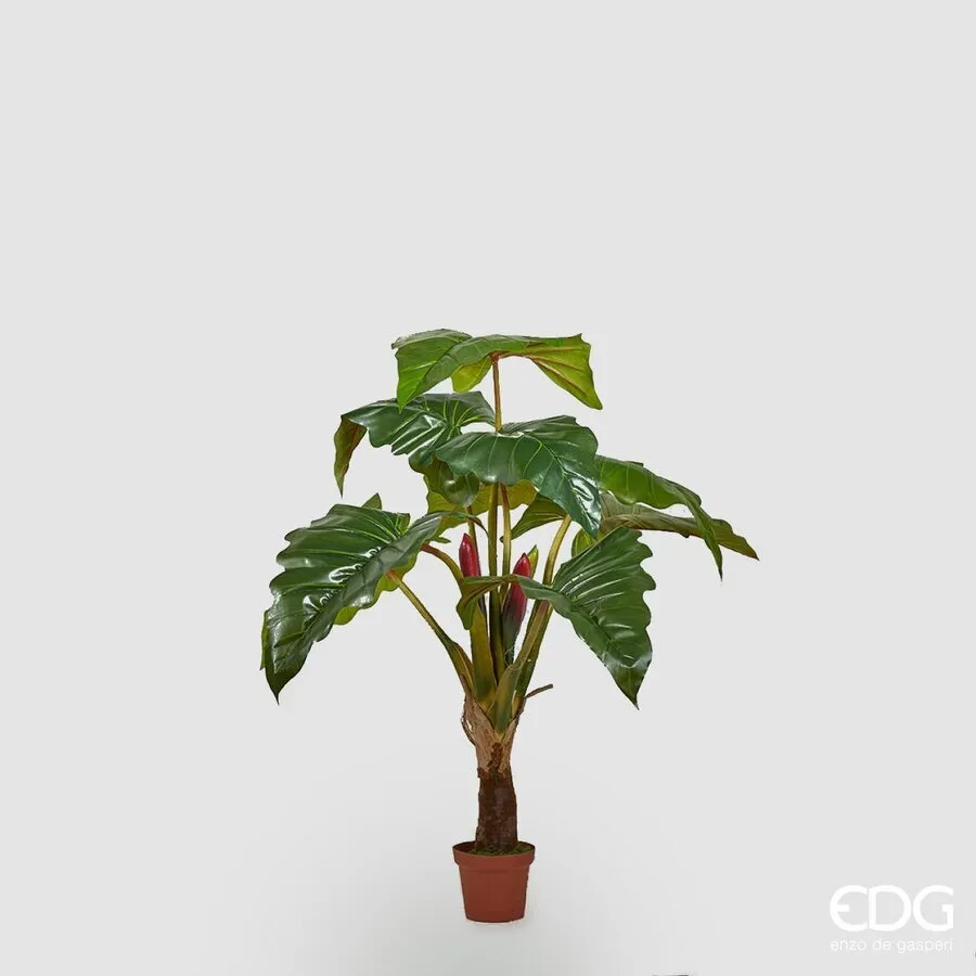 EDG Enzo De Gasperi Alocasia Chic with Artificial Vase H 160 Cm Green