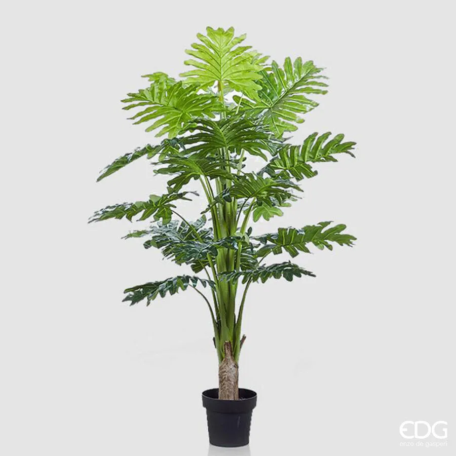 EDG Enzo De Gasperi Philodendron with Artificial Vase H 140 Cm Green