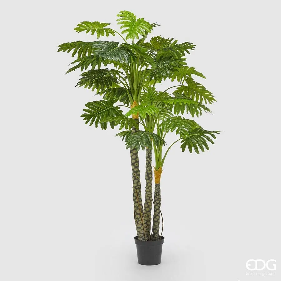 EDG Enzo De Gasperi Philodendron with Artificial Vase H 240 Cm Green
