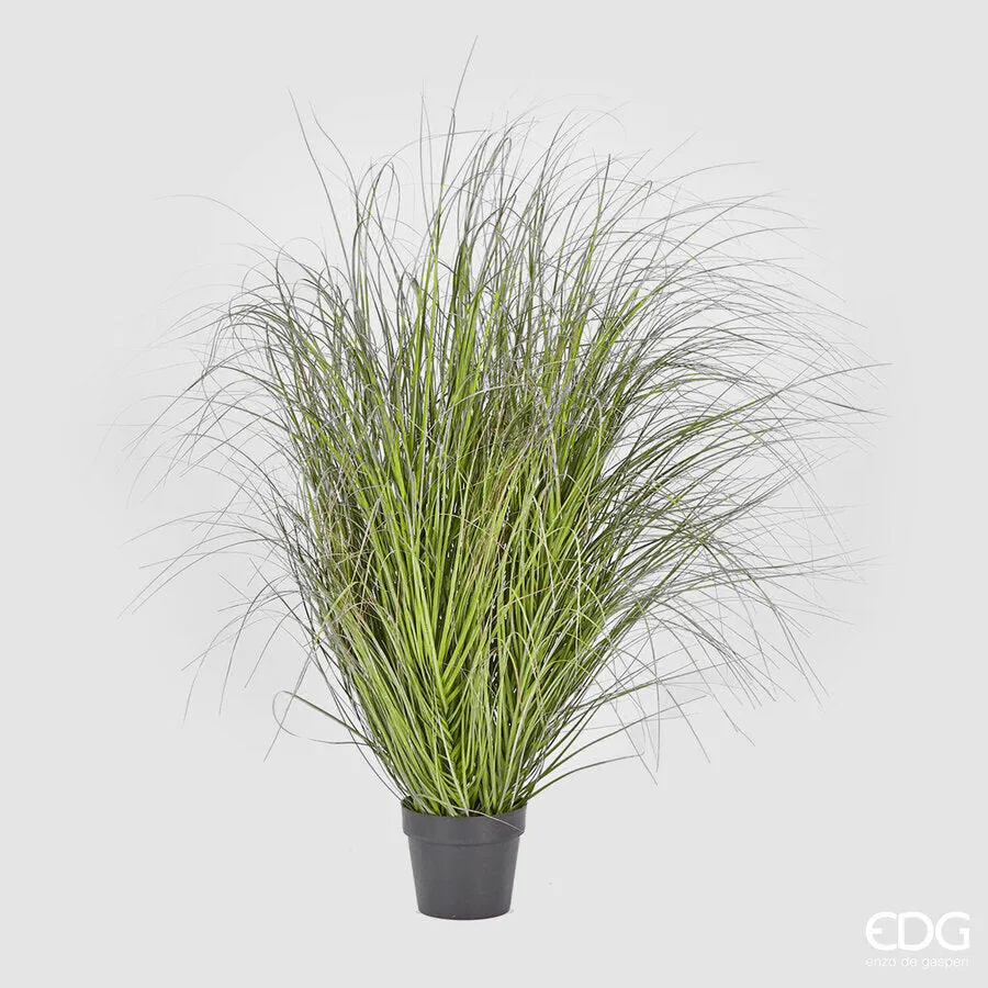 EDG Enzo De Gasperi Festuca with Artificial Pot H 142 Cm Green Pink