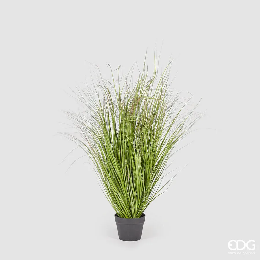 EDG Enzo De Gasperi Festuca with Artificial Pot H 122 Cm Green Pink