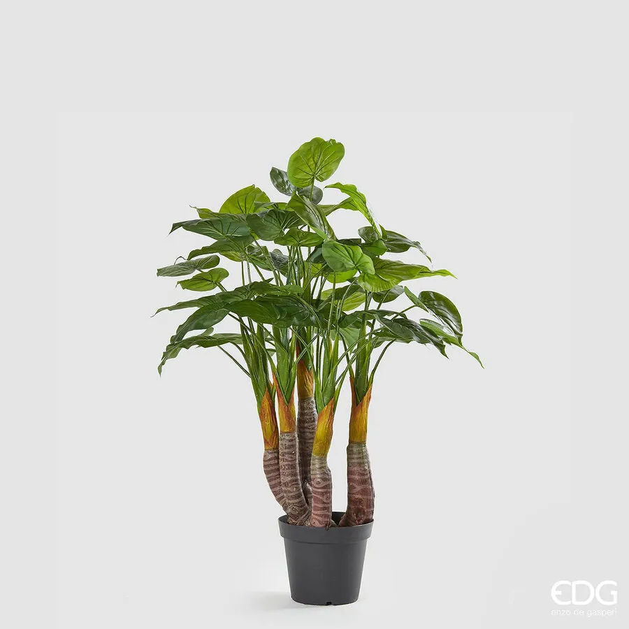 EDG Enzo De Gasperi Philodendron Plant with Artificial Pot H 120 Cm Gr