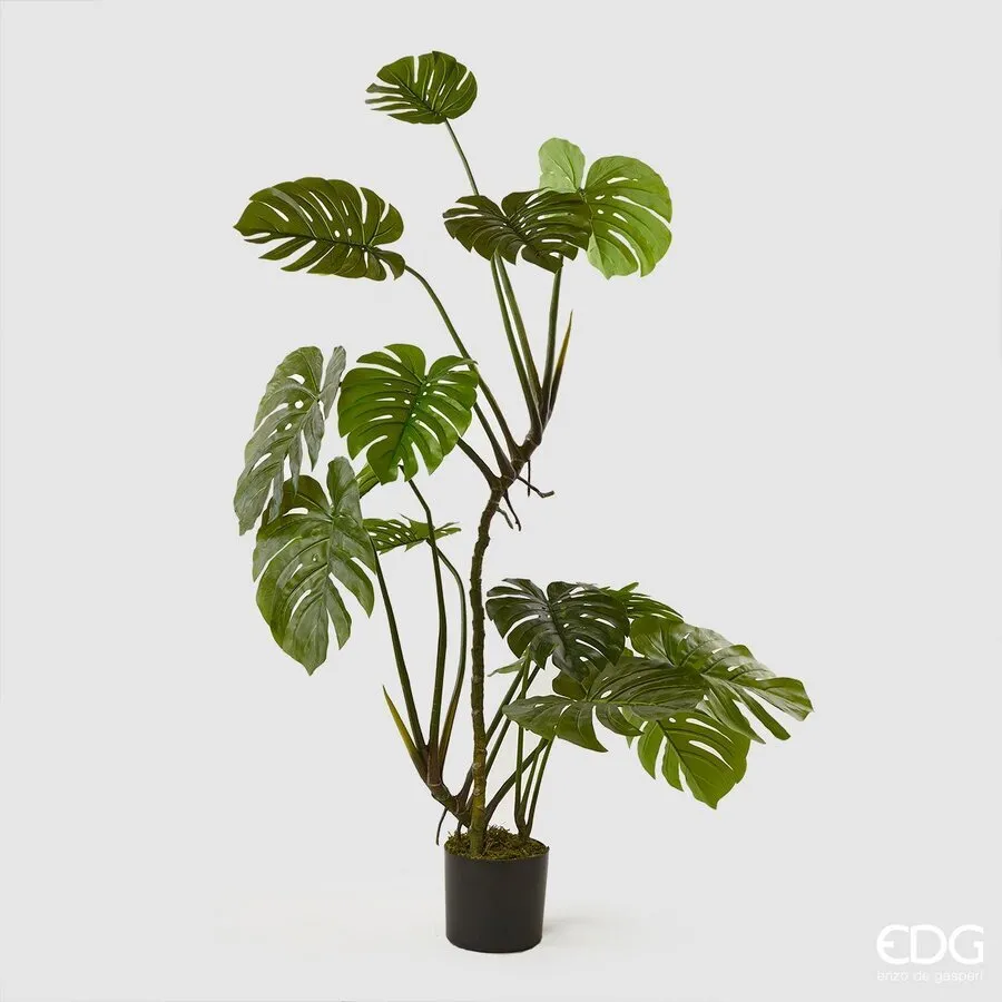 EDG Enzo De Gasperi Monstera Plant with Artificial Pot H 155 Cm Green