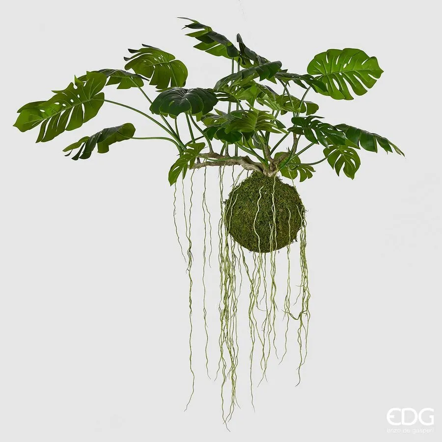 EDG Enzo De Gasperi Monstera Bell Artificial Hanging Plant H 80 Cm L 1