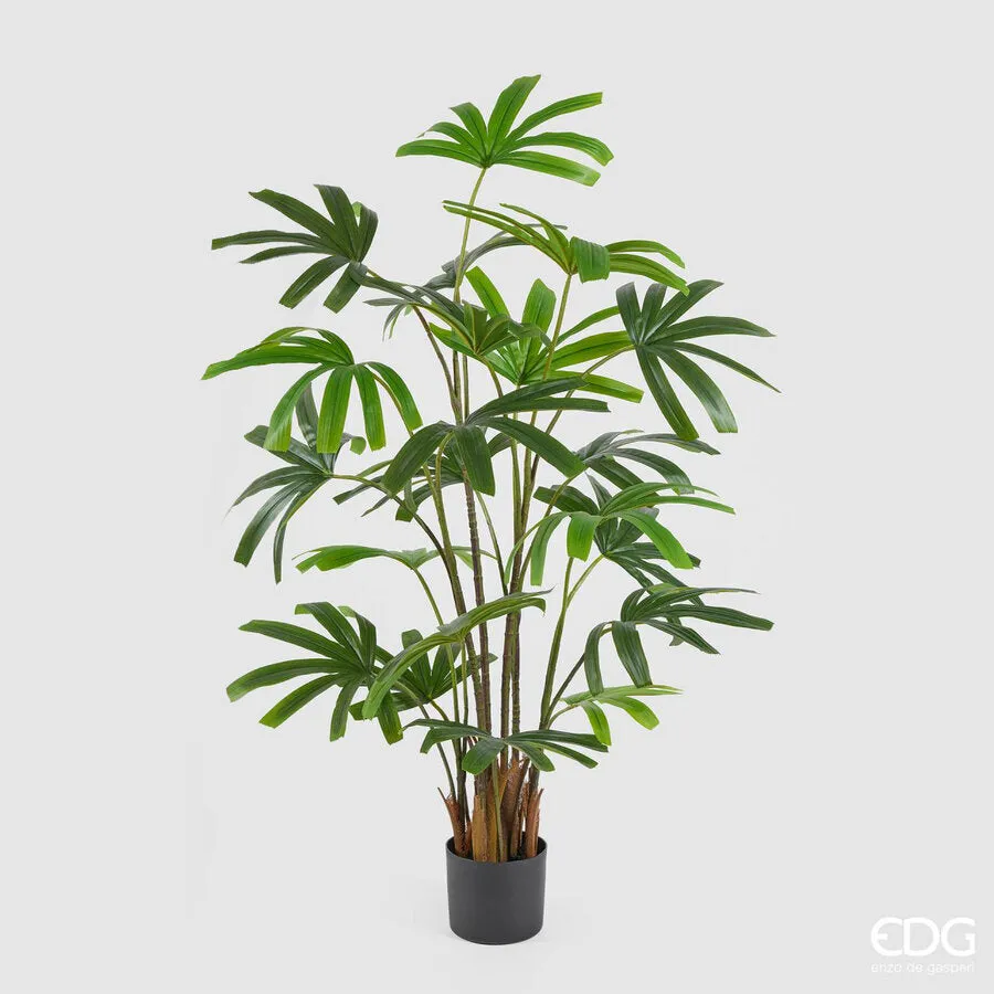 EDG Enzo De Gasperi Palma Rapisgracilis with Artificial Vase H 145 Cm