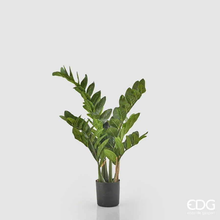 EDG Enzo De Gasperi Zamifolia 7 Branches with Vase H 70 Cm Green