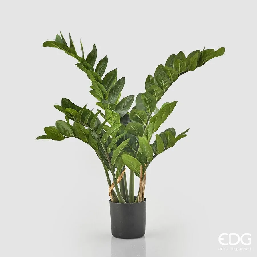 EDG Enzo De Gasperi Zamifolia 11 Branches with Vase H 110 Cm Green