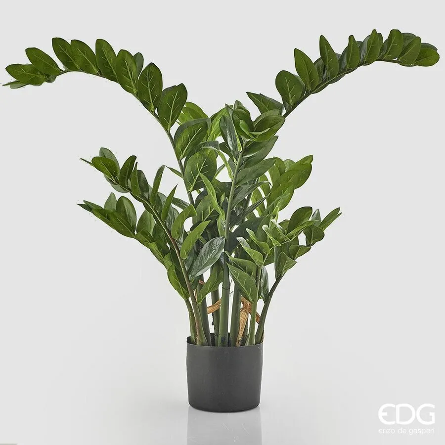 EDG Enzo De Gasperi Zamifolia 15 Branches with Vase H 130 Cm Green