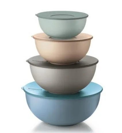 GUZZINI Set of 4 Everywhere Airtight Containers with Multicolor Lid