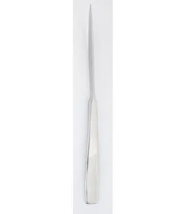 Couteau à dessert vertical monobloc cranté 21,2 cm Atlantis Eternum