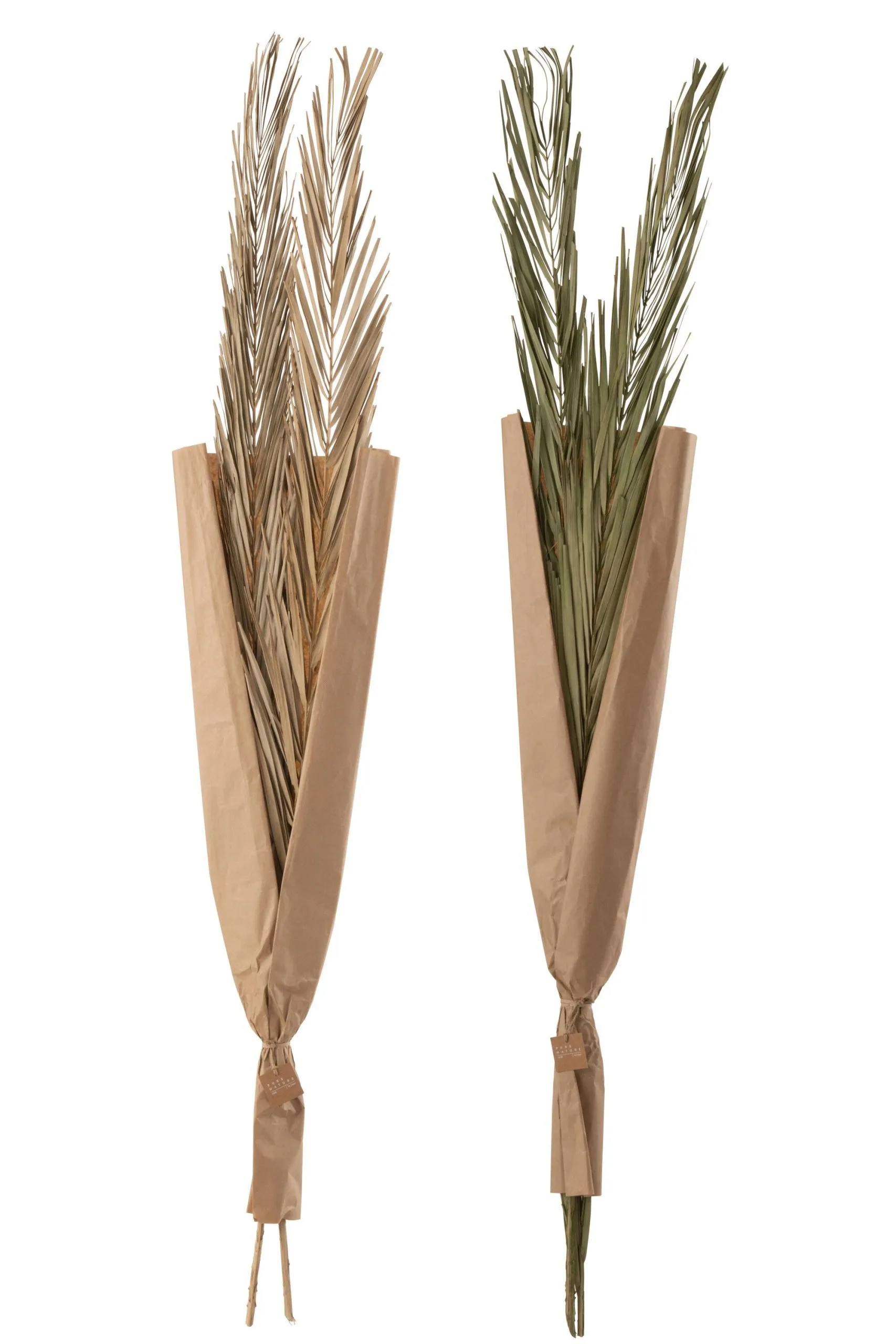 Feuilles khajur 2 pieces vert assortment de 2