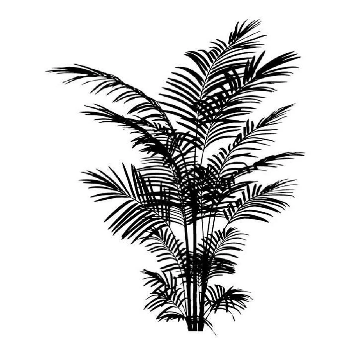 Tampon à encre - Bois - Fougère - 6 x 5 cm