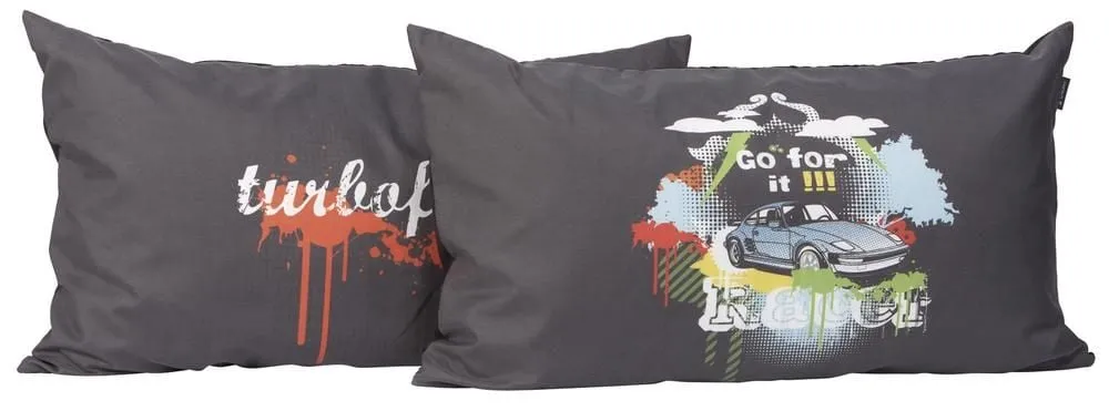 Lot de 2 grands coussins - Race