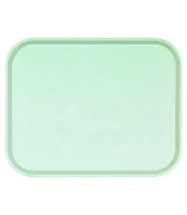 Plateau polyester vert 41x30 cm Poly One Platex