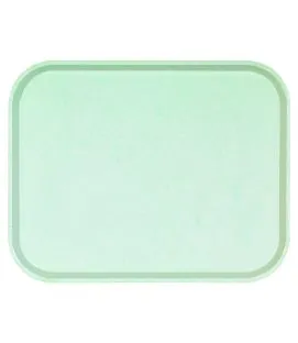 Plateau GN1/1 polyester vert 53x32 cm Poly One Platex