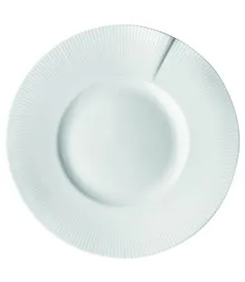 Assiette plate rond blanc porcelaine culinaire Ø 29 cm Canopee Pillivuyt