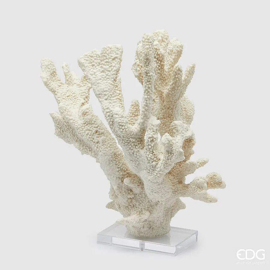 EDG Enzo De Gasperi Coral Sculpture H 38.5 cm L 37 cm L 14 cm Ivory