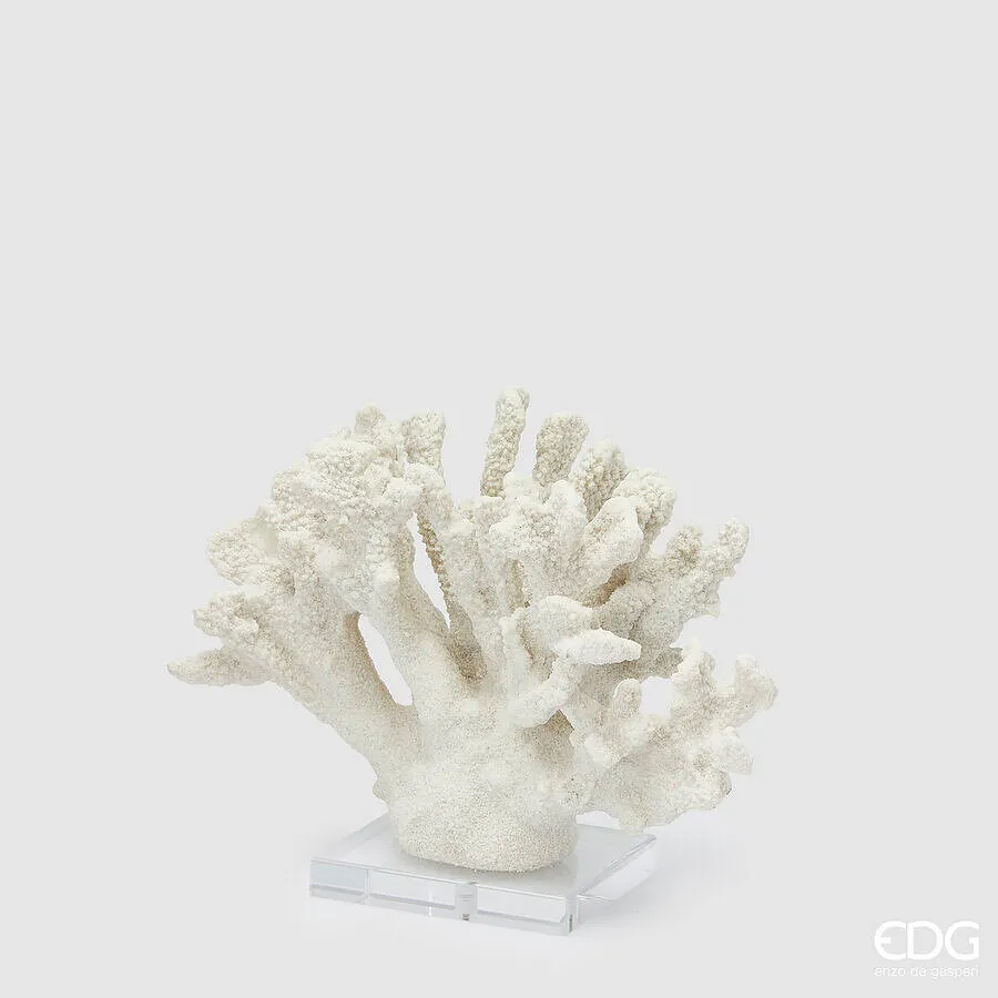 EDG Enzo De Gasperi Coral Sculpture H 22 Cm L 28 Cm L 10 Cm Ivory