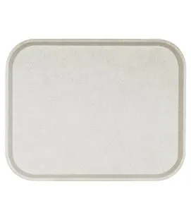 Plateau polyester gris 46x36 cm Poly One Platex