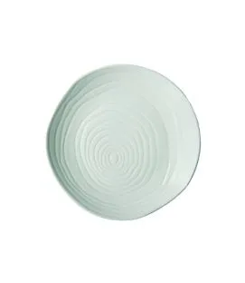 Assiette coupe plate rond blanc porcelaine culinaire Ø 21 cm Teck Pillivuyt