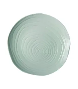 Assiette coupe plate rond blanc porcelaine culinaire Ø 26,5 cm Teck Pillivuyt