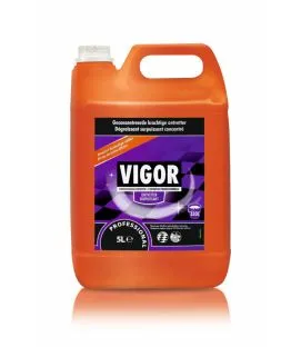 Nettoyant surface et sol 5 L Vigor